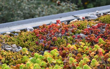 the cost of Stokeford green roof installation
