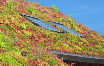 Stokeford living roof systems